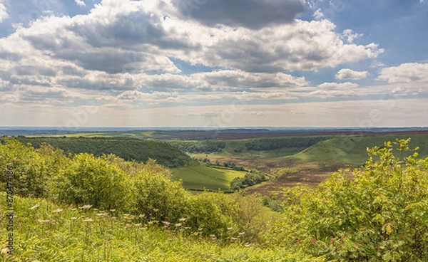 Obraz Moorland panorama.