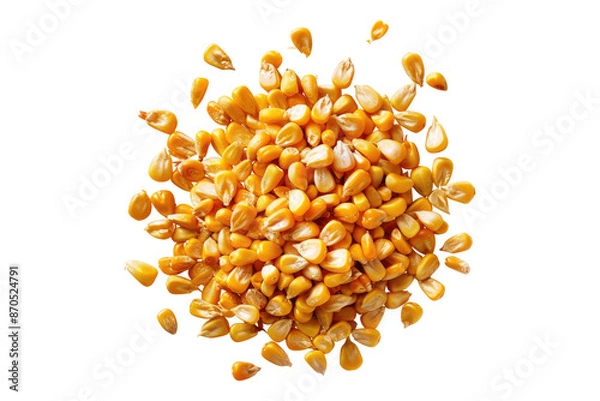Fototapeta Raw corn grain isolated on transparent background