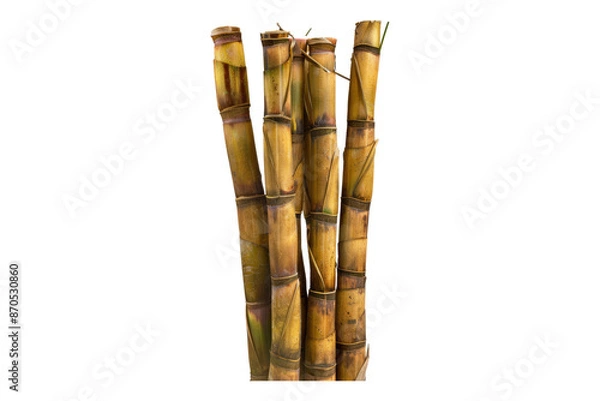 Fototapeta Sugar cane stack isolated on transparent background