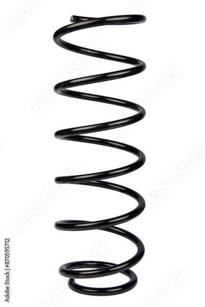 Obraz Black Coil Spring Isolated On White Background