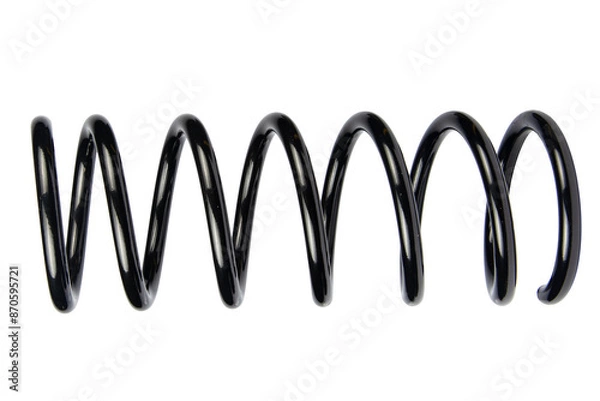 Obraz Black Coil Spring Isolated On White Background
