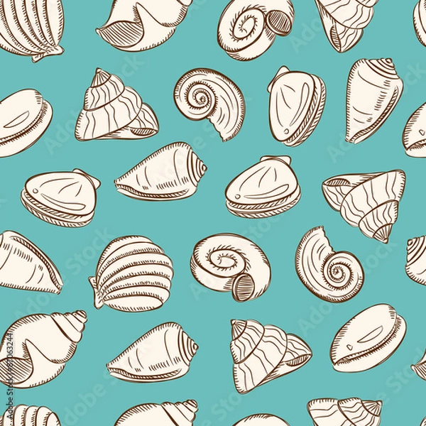 Fototapeta sea shells background