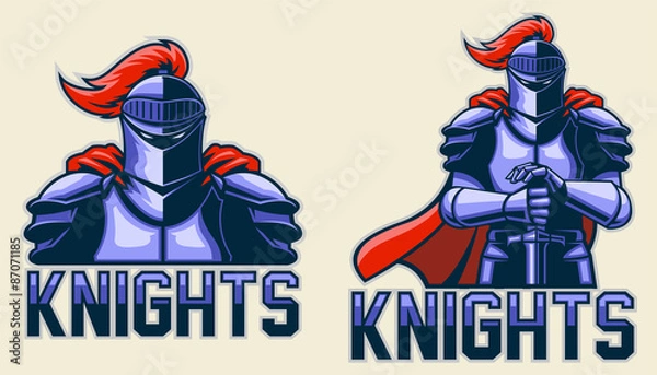 Obraz knights
