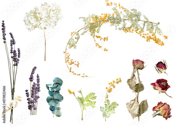 Fototapeta 切り抜き透過素材セットードライフラワー3