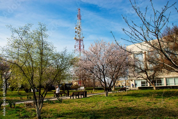 Obraz Вышка связи