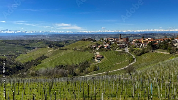 Fototapeta Italian landscape with vineyards