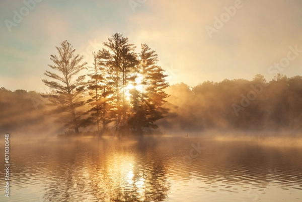 Obraz Small island with pine trees fog a loon and sunburst at dawn on a northern Minnesota lake during summer