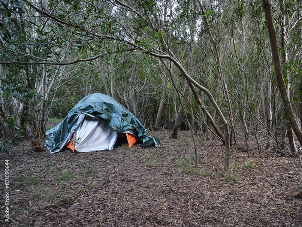 Fototapeta Tent covered with green tarp under trees