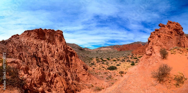 Fototapeta Panorama of high elevation landscape in the Andes mountains in Jujui province, Argentina, with typical red rocks and sparse vegetation