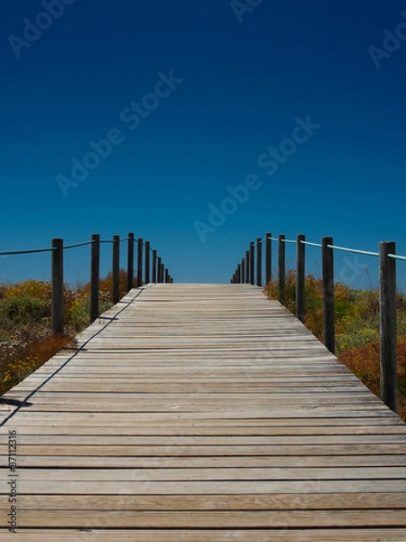 Obraz Path to the beach