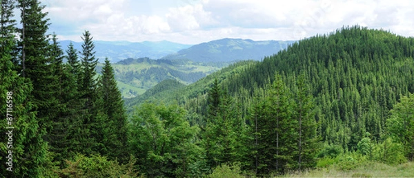 Obraz Panorama pięknego górskiego lasu