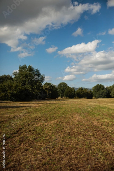 Obraz field and sky
