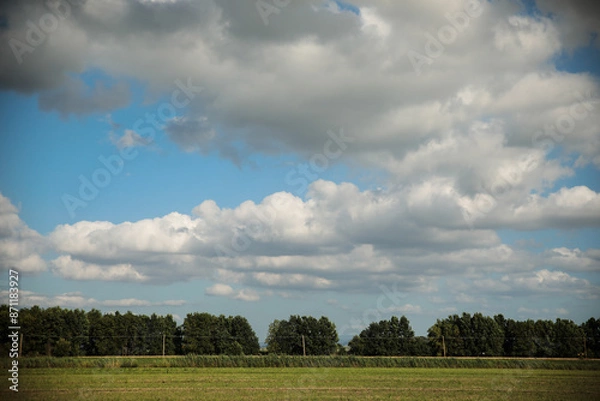 Obraz clouds over the field
