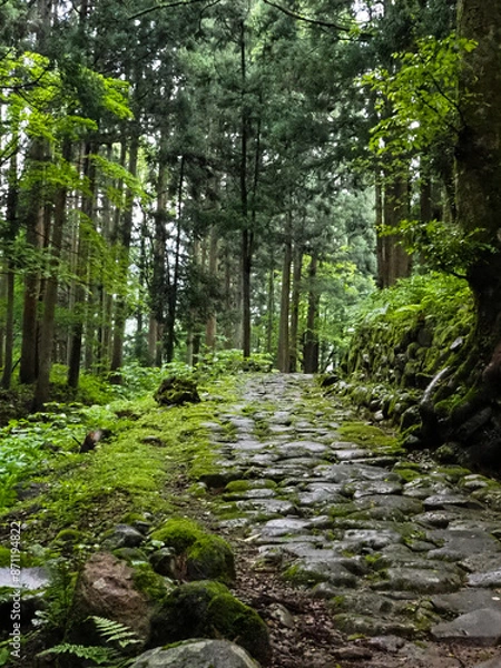 Fototapeta 石畳の道　平泉寺　福井県勝山市