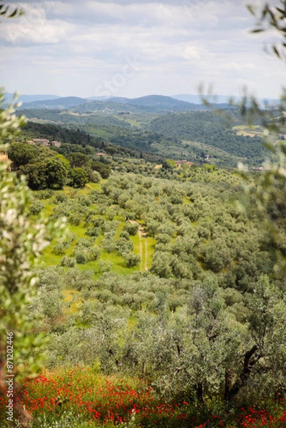 Obraz tuscany in the spring