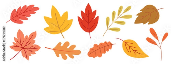 Fototapeta Set of autumn leaves on a white background.