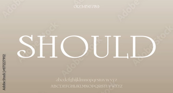 Fototapeta Vector elegant wedding alphabet letter font typography luxury classic serif fonts decorative vintag