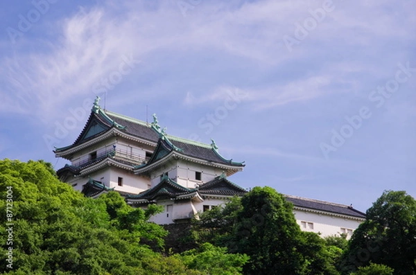 Fototapeta 森の上の和歌山城