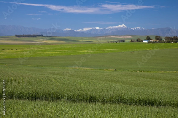 Fototapeta 南アフリカの農業地帯