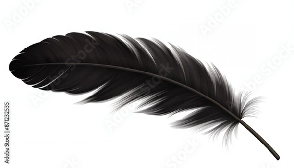 Obraz black feather isolated on white background