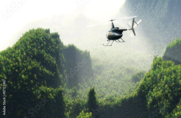 Obraz Civilian helicopter