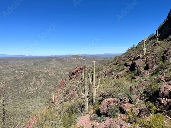 Obraz Tanque Verde, Arizona