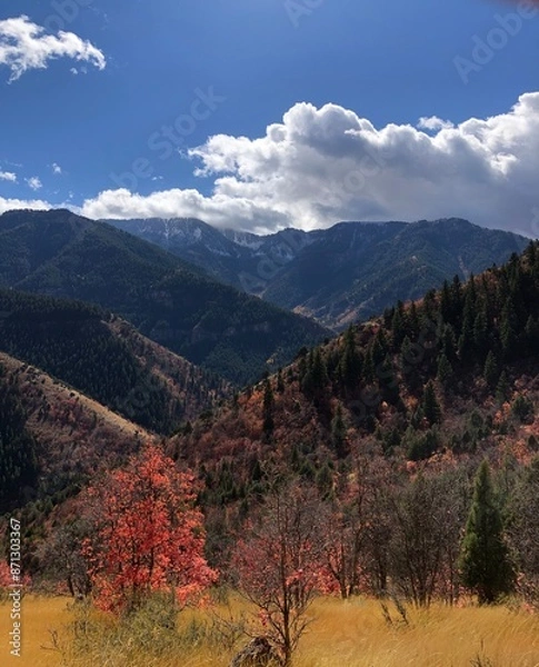 Obraz Logan Canyon