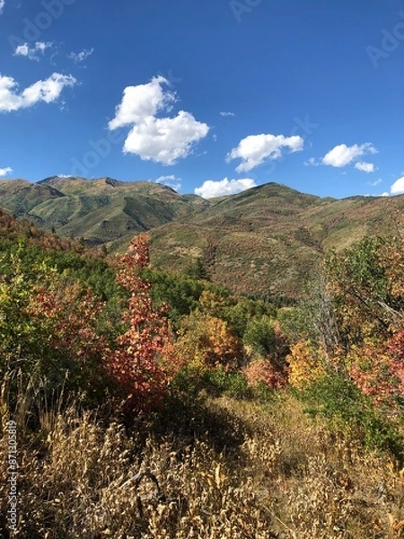 Obraz Wasatch County
Utah