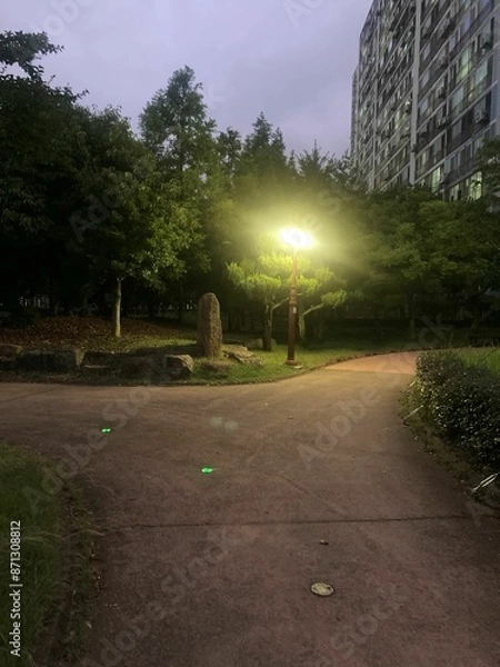 Obraz 공원과가로등