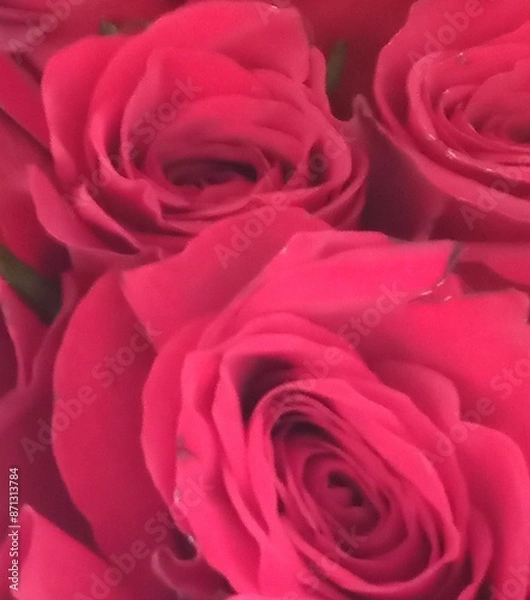 Obraz Summer Time Smile's 