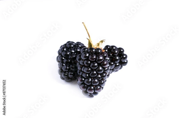 Obraz The blackberry berry