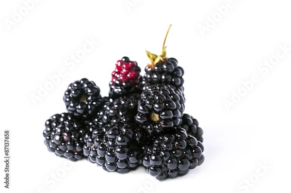 Obraz The blackberry berry