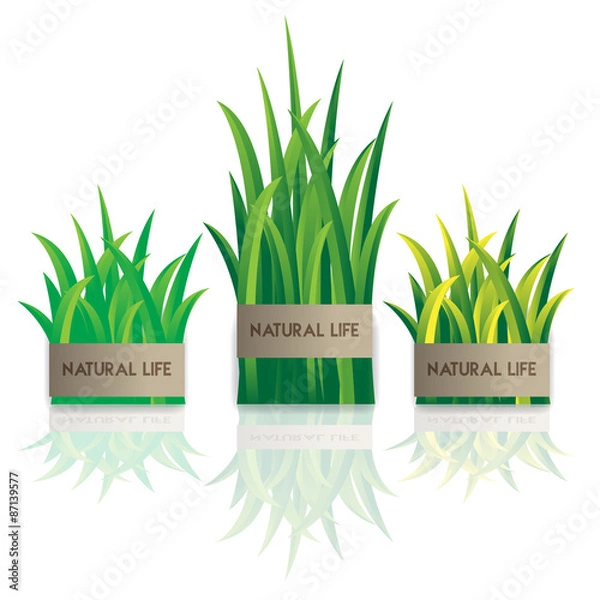 Fototapeta Green grass nature, vector