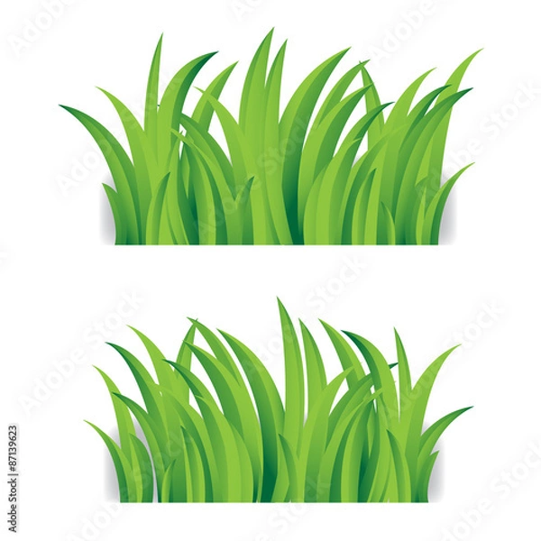 Obraz Green grass nature, vector
