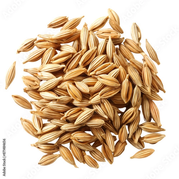 Fototapeta Barley, Cereal, Isolated on Transparent Background, Graphic Resource for Gourmet Advertising, Menu Design, Website Banners, Packaging, and Social Media Campaigns 