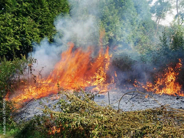 Obraz Incendie
