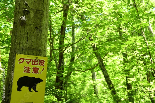 Obraz クマ出没注意の看板