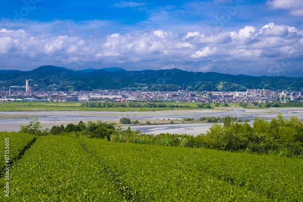Fototapeta 大井川と島田市の町並み
