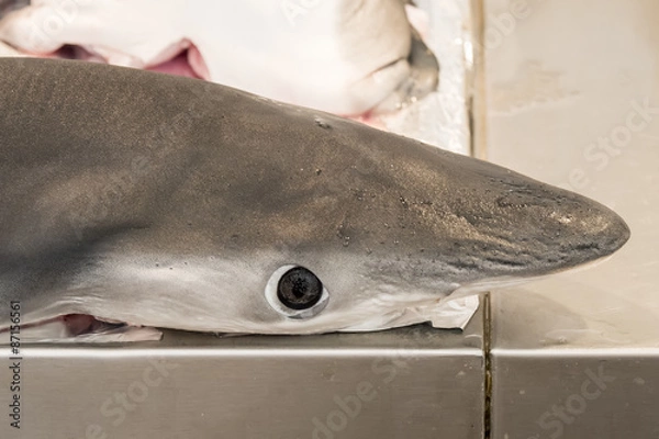 Fototapeta Shark on local market fishmonger