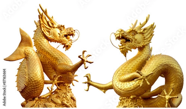 Obraz Double golden dragon statue at isolated on white background