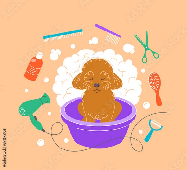 Obraz Cute little poodle taking a bath in a plastic bowl with soap foam, bubbles and grooming tools, such as hair dryer, scissors, shampoo, brushes, combs. Hand drawn doodle pet grooming salon illustration