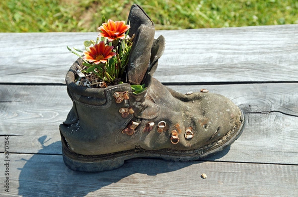 Fototapeta Alter Wanderschuh als Blumentopf