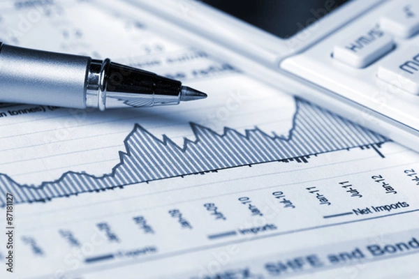 Fototapeta Financial accounting graphs and charts analysis