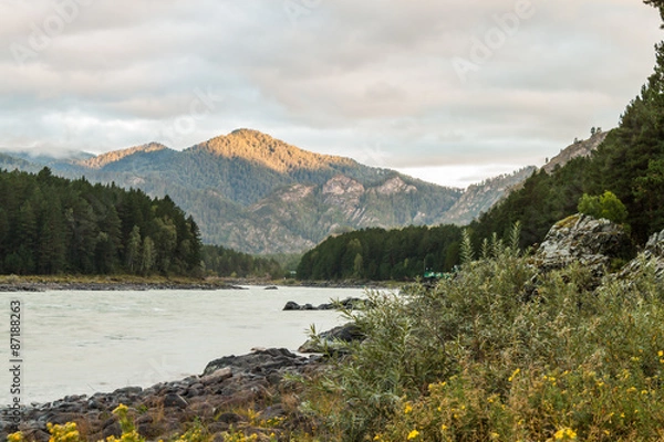 Fototapeta Katun river