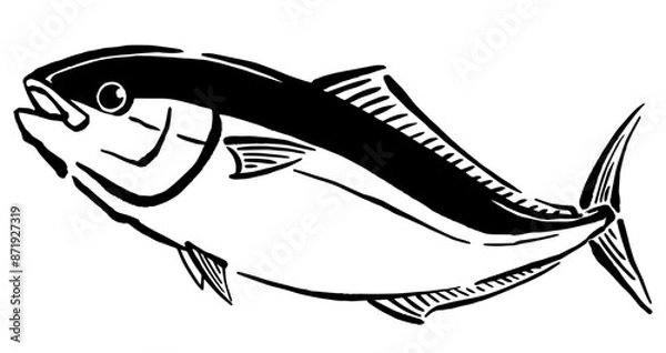 Obraz 鰤の手書き線画イラスト