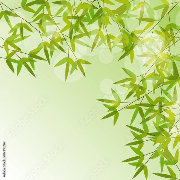 Obraz Colorful Stems and Bamboo Leaves Background. Vector Illustration