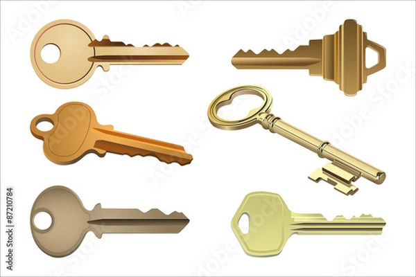 Obraz key vector illustration