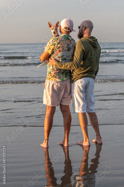 Fototapeta gay couple back to back with their dog on their lap looking at the camera, on the beach