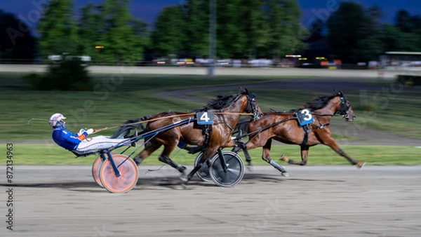 Obraz Trotting racehorses and rider on a stadium track. Competitions for trotting horse racing. Horses compete in harness racing. Horse running on the track with the rider at sunset.
