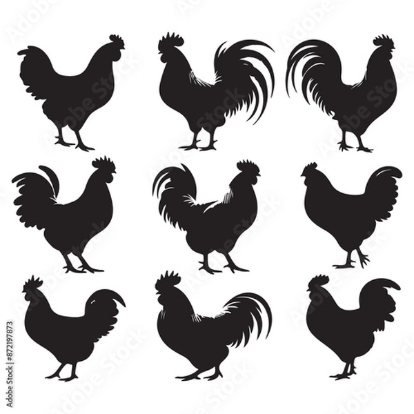 Fototapeta Set of Chicken silhouettes isolated on a white background, Vector illustration.